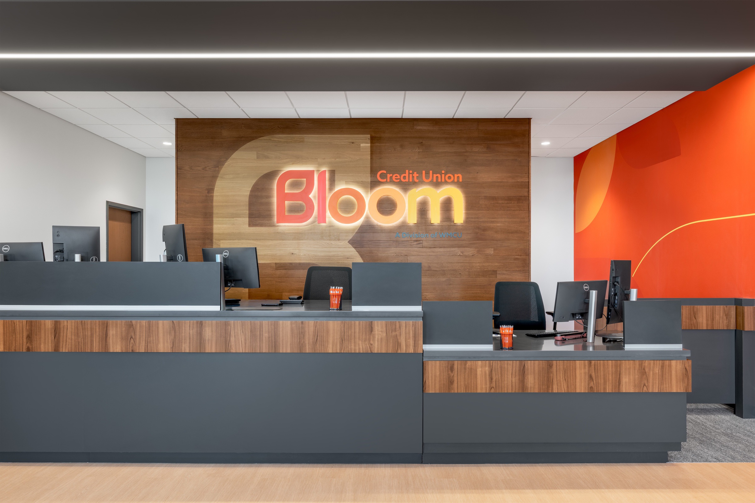 BloomCU_JMP6806